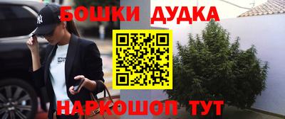 гашик Шахты