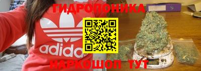 сатива Конаково