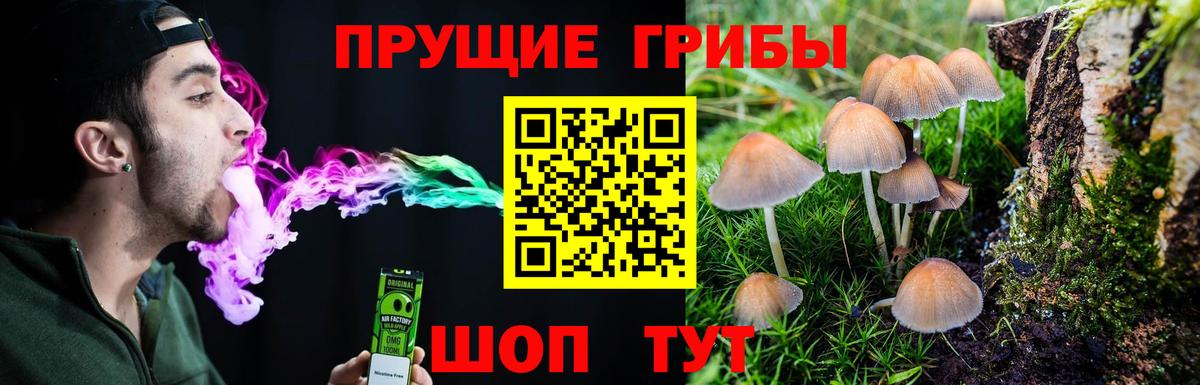 Галлюциногенные грибы Psilocybine cubensis  Вход с VPN  Краснодар  Псилоцибиновые грибы ЛСД 